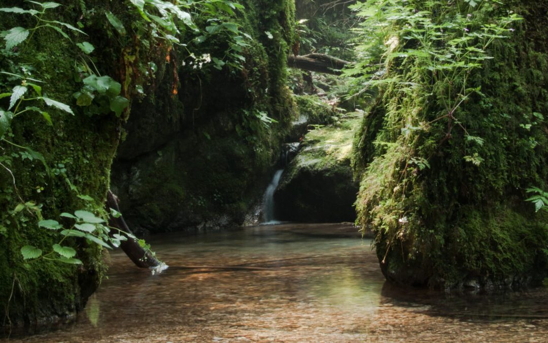 31^ Edizione della Marcia cul Cjapiel – 15 agosto 2024