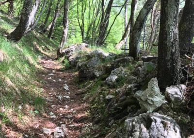 MONTE RODOLINO da Poffabro