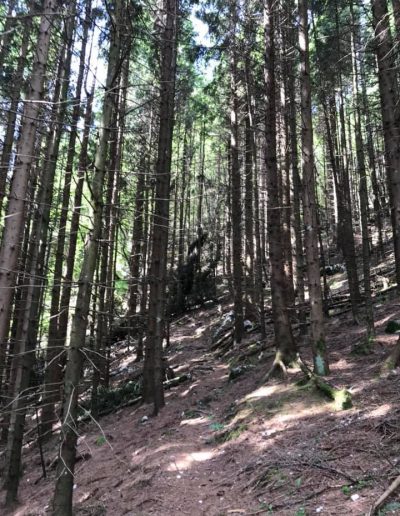 MONTE RODOLINO da Poffabro