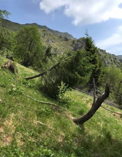 MONTE RODOLINO da Poffabro