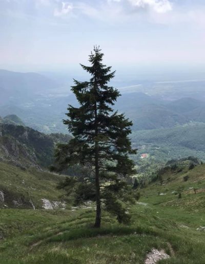MONTE RODOLINO da Poffabro