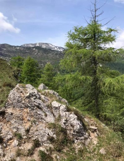 MONTE RODOLINO da Poffabro