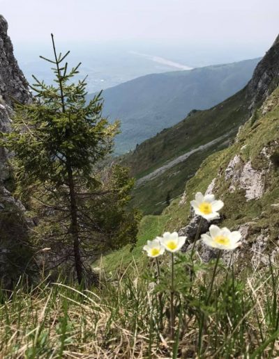 MONTE RODOLINO da Poffabro