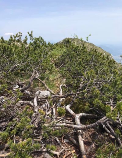 MONTE RODOLINO da Poffabro