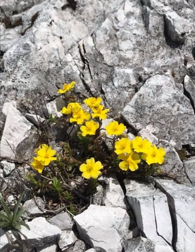 MONTE RODOLINO da Poffabro