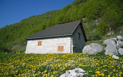 Casere del Pordenonese