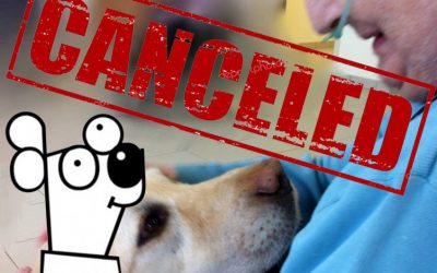 Lettura Assistita con il Cane