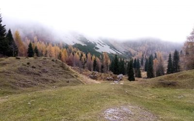 Il Bosco è Tuo Amico, Rispettalo!