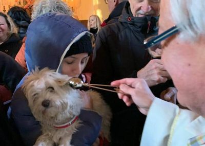 Benedizione degli animali 2019