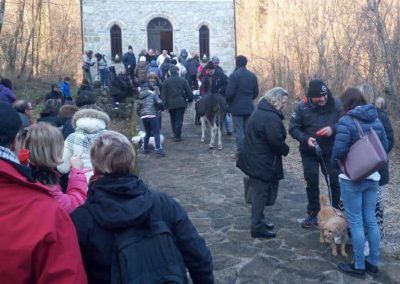 Benedizione degli animali 2019