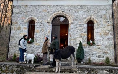 Domenica 19 gennaio – La Benedizione degli Animali