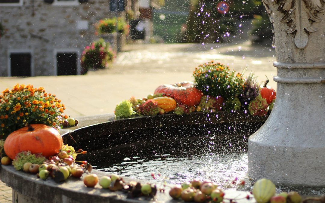 Festeggiamenti di San Liberale 2024