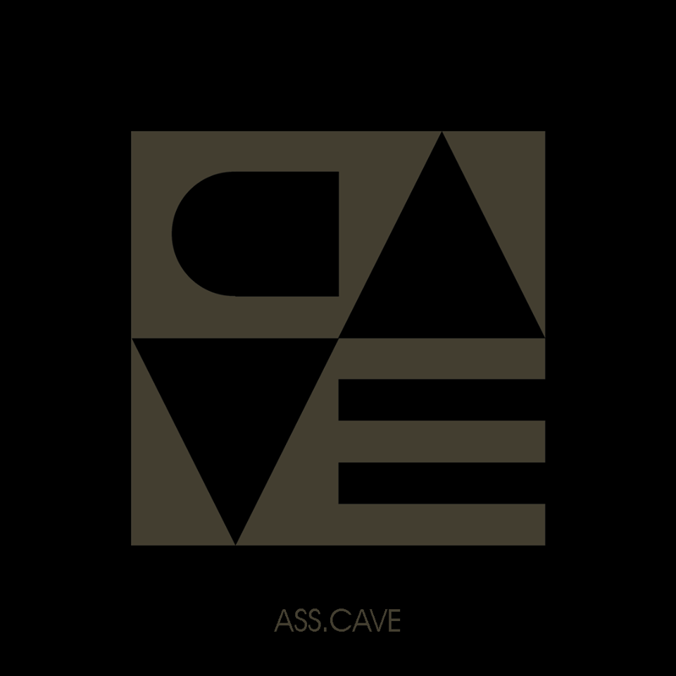 logo CAVE