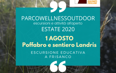 EVENTO ParcoWellnessOutdoor 1 agosto 2020