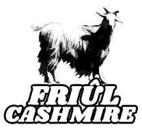 Friûl Cashmir logo