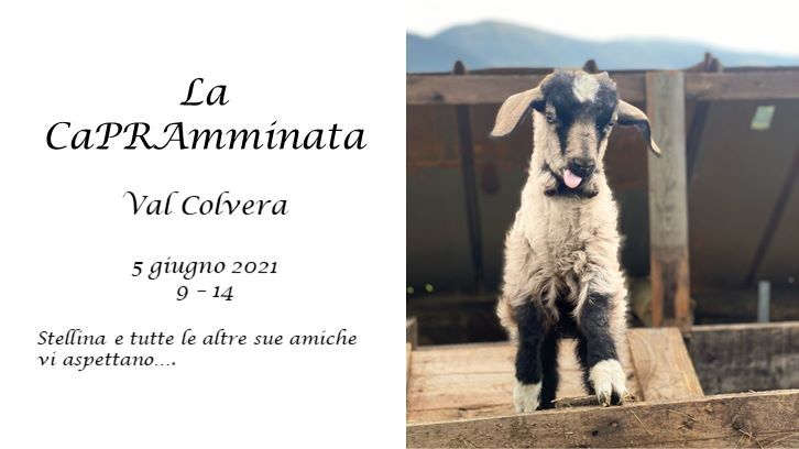 La caPRAmminata - Val Colvera
