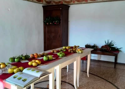 La Mostra delle #meleantiche