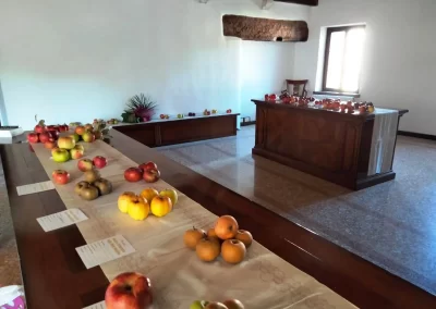 La Mostra delle #meleantiche