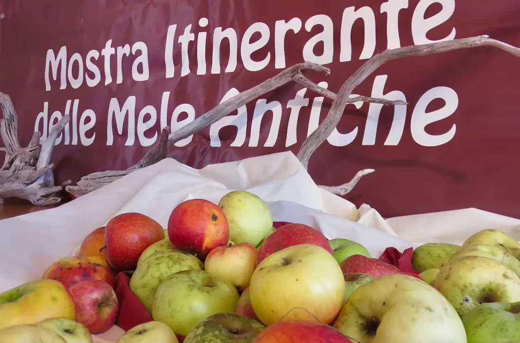 18^ Mostra Itinerante delle Mele Antiche a Frisanco e Poffabro