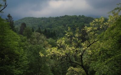 33′ Edizione della Marcia cul Cjapiel – Sabato 15 agosto 2026